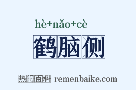 鹤脑侧是什么意思的图片